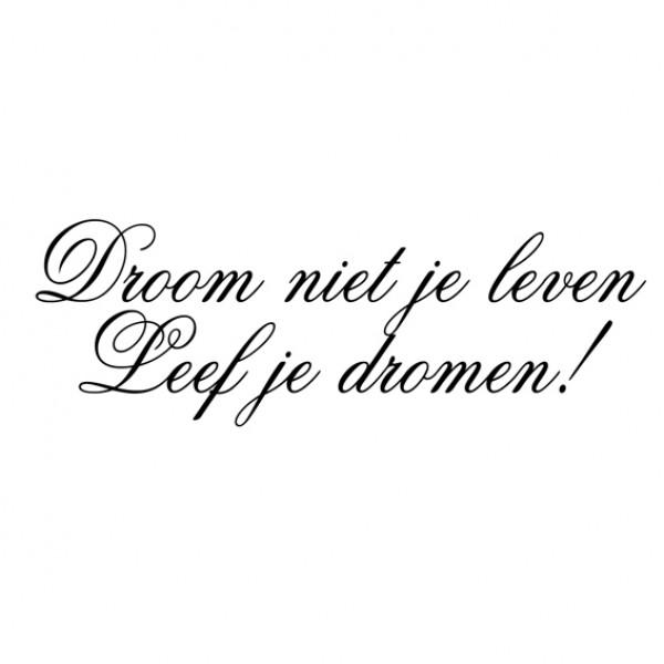 Dromen - dromenuitleg of droomduiding