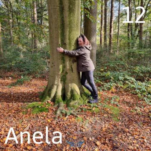 Zoek je spirituele inzichten? Ontvang helderheid met Lenormand kaarten, foto-reading en lichtwerk. Vertrouw op intuïtieve begeleiding voor jouw pad.