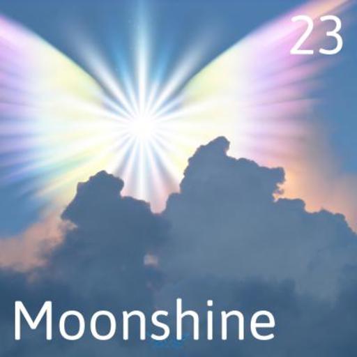 Paragnost Moonshine is heldervoelend en helderwetend en is kundig in de wet van aantrekking.