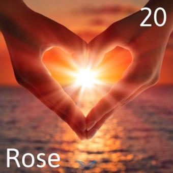  Medium Rose is een transformatie coach op het gebied van relaties. Door goed en zuiver in voelen kan ze snel bij de kern van jouw vraag komen.