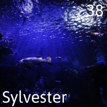 Zoek je een medium dat met beide voeten op de grond staat?